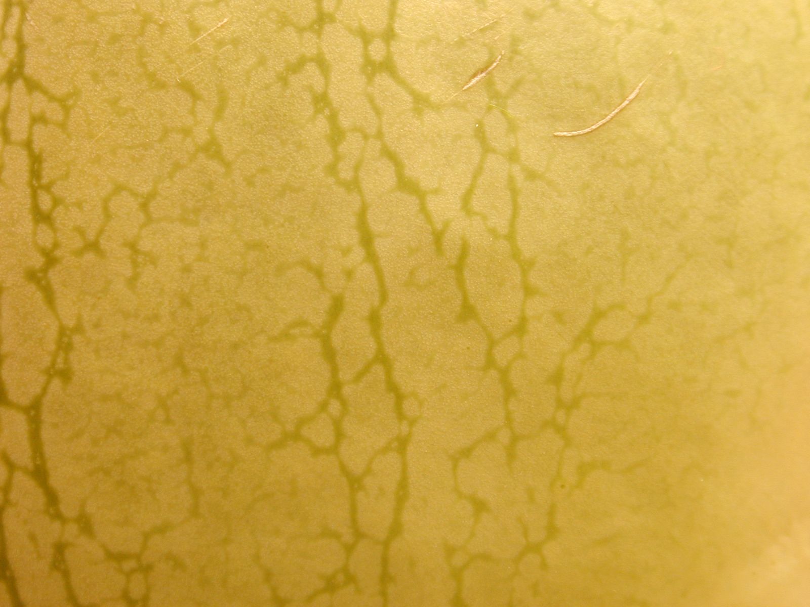 melon yellow skin vein seam scratch