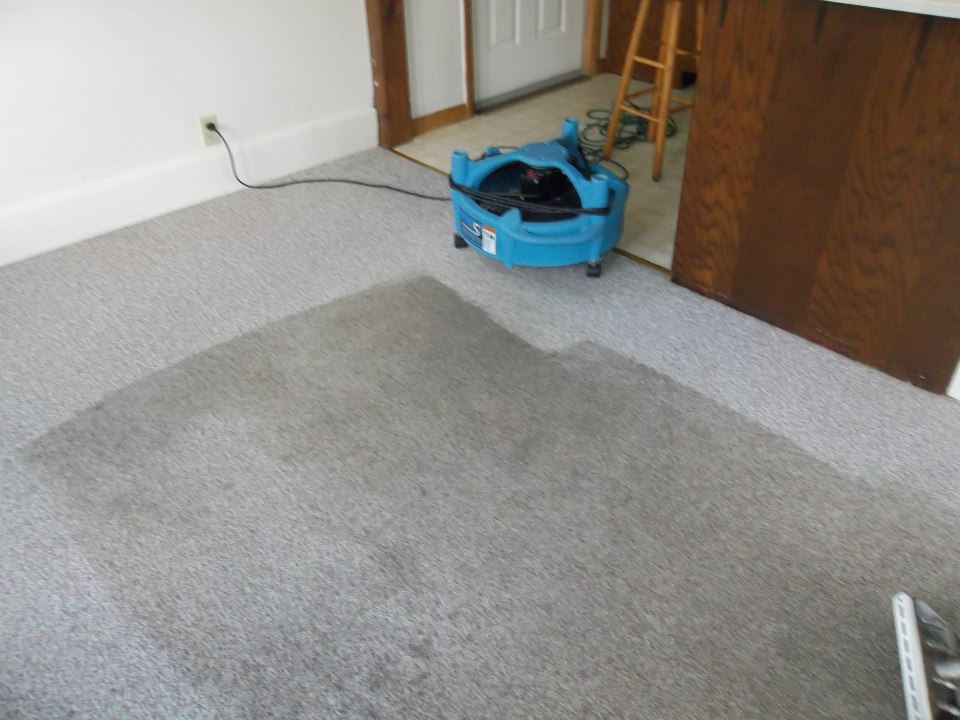 Gallery - Professional Carpet Cleaning Service